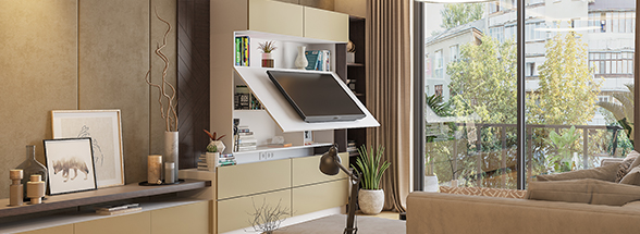 Innovative living room storage solutions for space saving